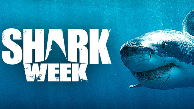 Shark Week Evaluation